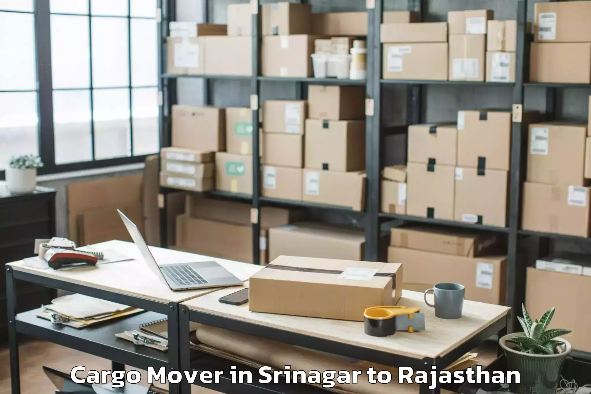 Affordable Srinagar to Beawar Cargo Mover